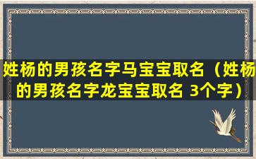 姓杨的男孩名字马宝宝取名（姓杨的男孩名字龙宝宝取名 3个字）